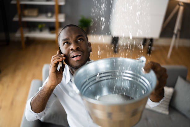 Best Water damage restoration near me  in San Manuel, AZ