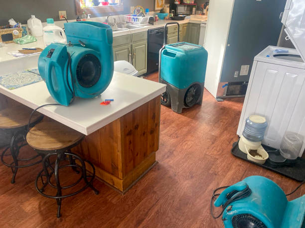 Best Water damage restoration mold remediation  in San Manuel, AZ