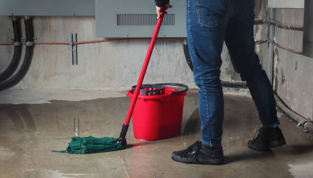 Best Water damage restoration near me  in San Manuel, AZ
