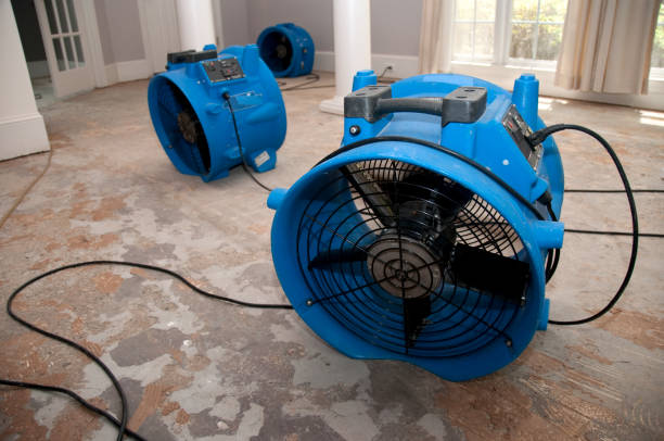 Best Flood damage cleanup  in San Manuel, AZ