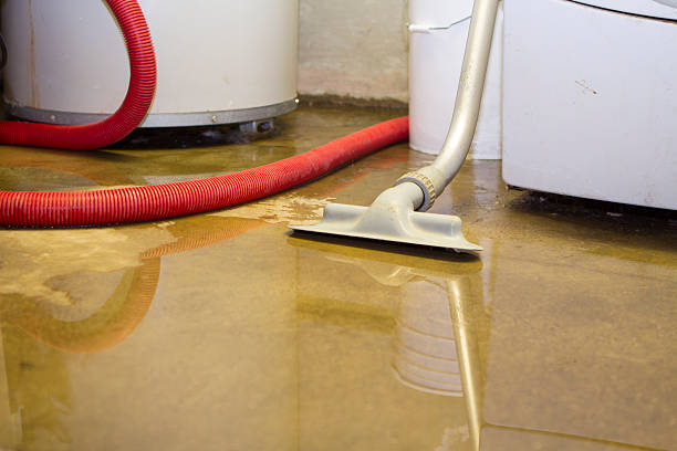 Best Flooded house restoration  in San Manuel, AZ