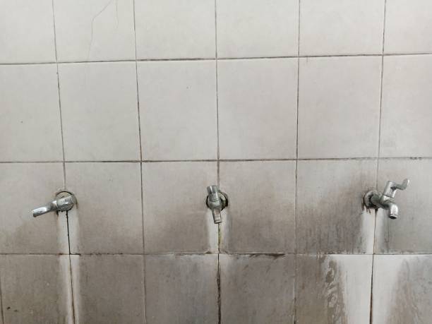 Best Water damage restoration services  in San Manuel, AZ