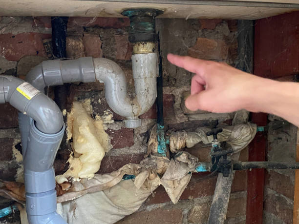 Best Water damage contractors near me  in San Manuel, AZ