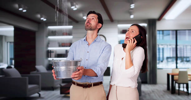Water damage restoration mold remediation in San Manuel, AZ