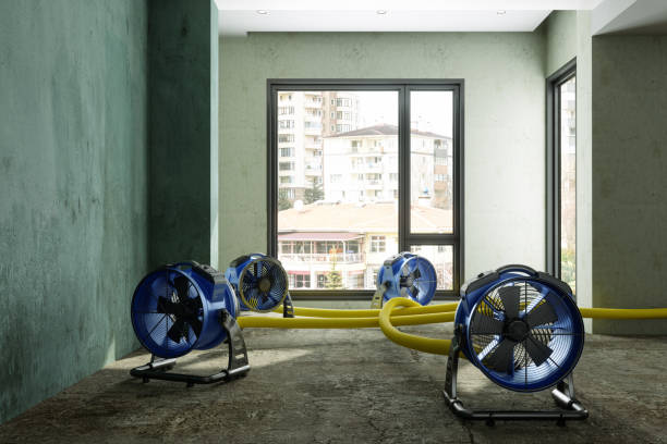 Best 24-hour water damage restoration  in San Manuel, AZ