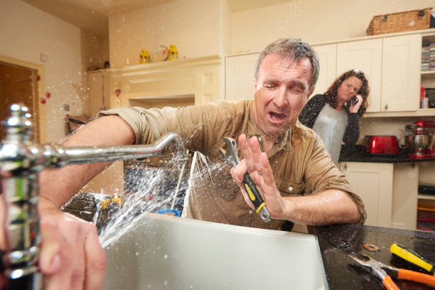 Best Carpet water damage restoration  in San Manuel, AZ